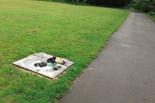 Missing bins at Dunwood Park